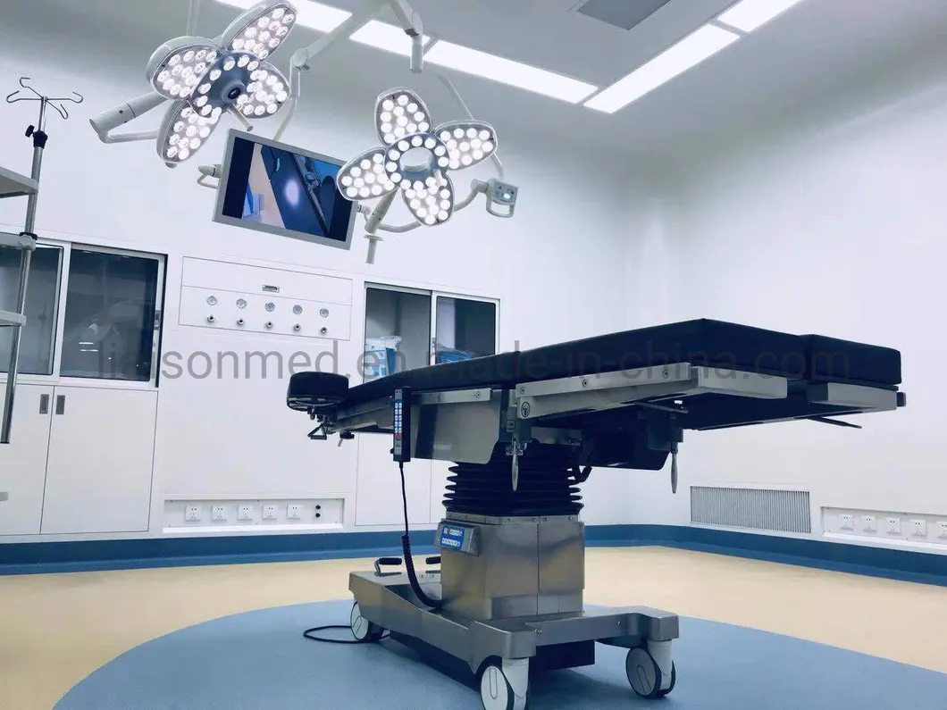 24V Rated Voltage of Bulb Surgical Equipment LED Portable Surgical Operating Lamp