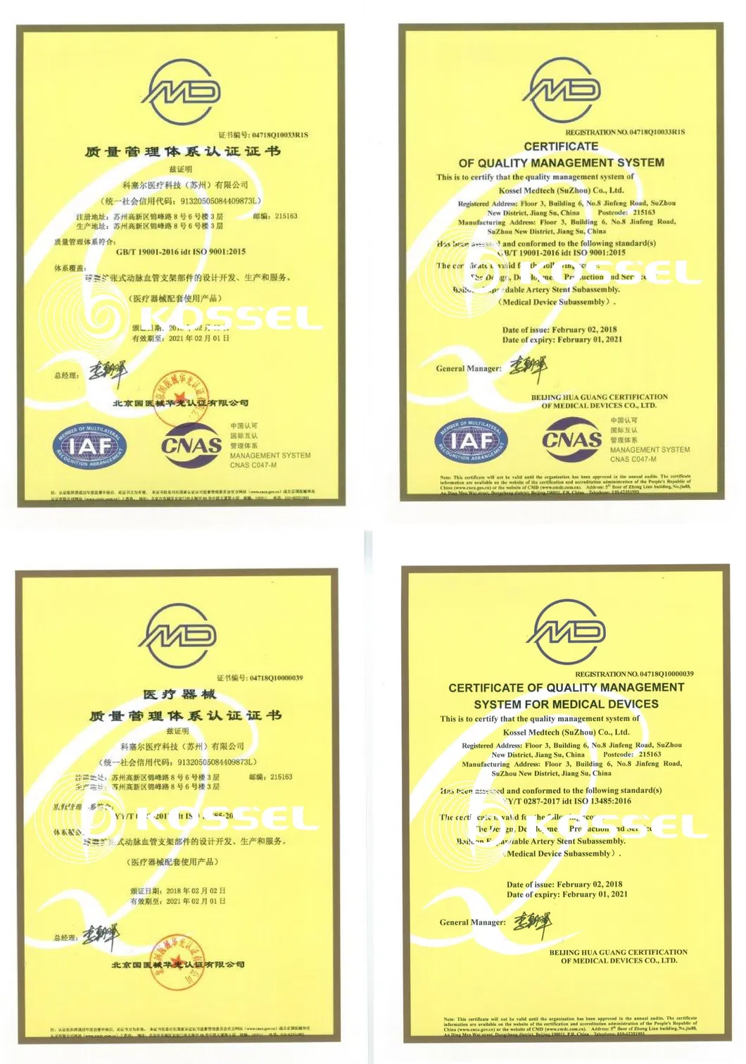 316L Stainless Steel Drug-Eluting Intracoronary Stent System with CE