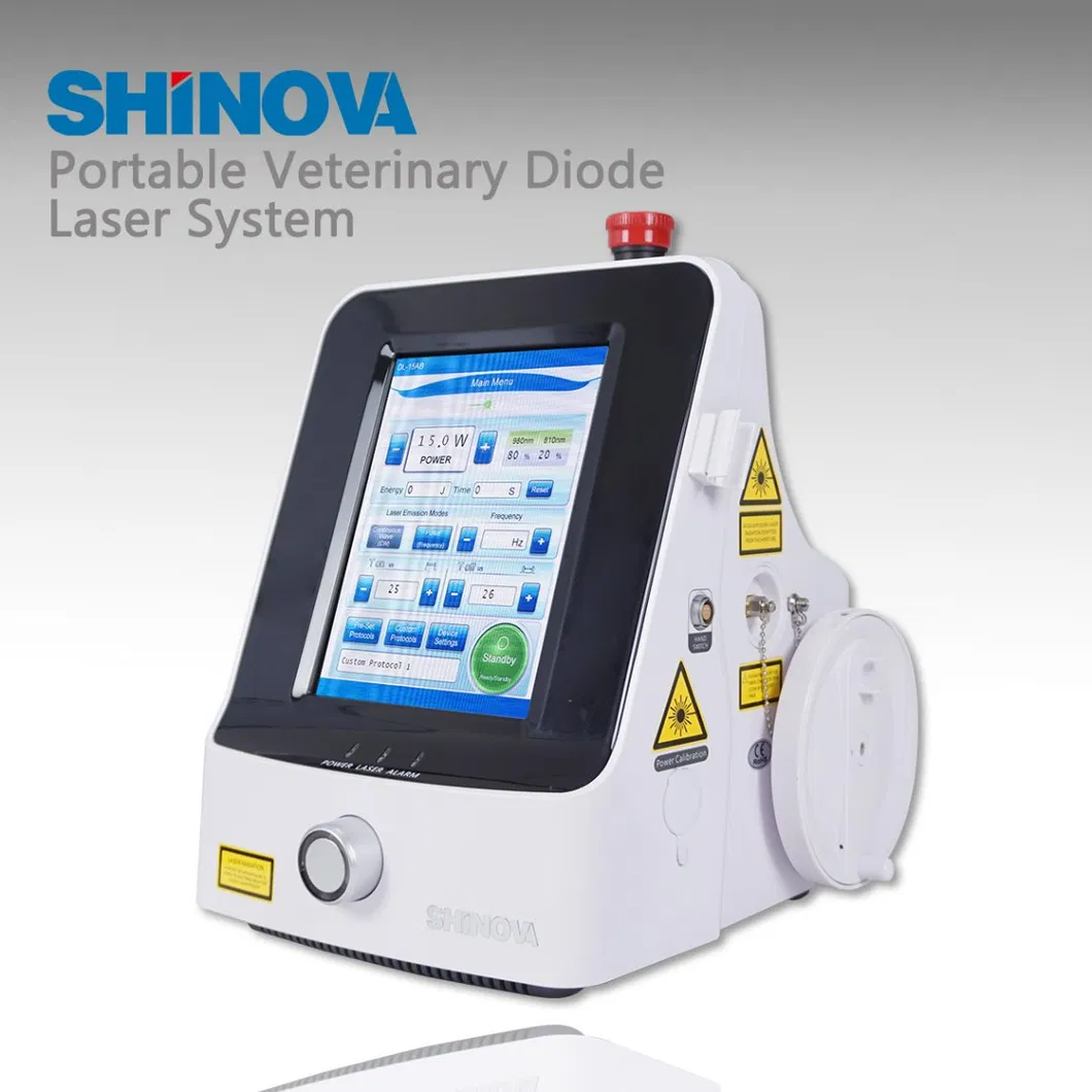 980nm 810nm Class IV Pain Treatment Physical Laser Therapy Machine Equine Laser Veterinary Surgery Diode Laser (DL-15AB)