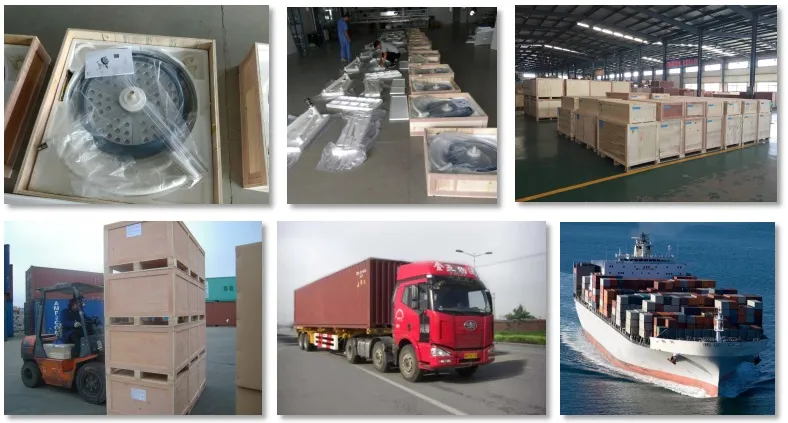 Animal Anatomy Table Flat-Top Stainless Steel Vet Operating Table/Animal Surgical Table