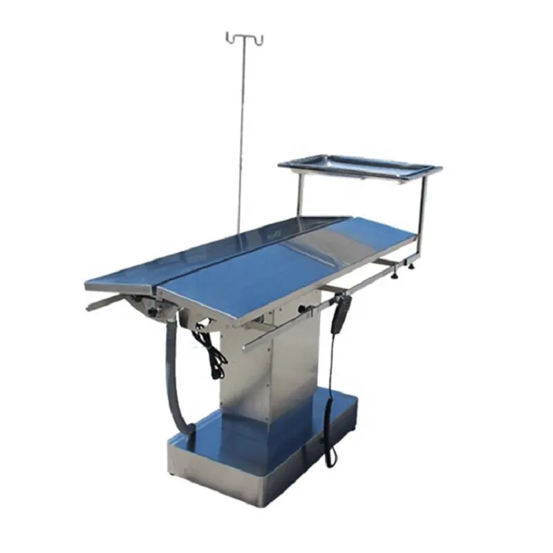 Animal Anatomy Table Flat-Top Stainless Steel Vet Operating Table/Animal Surgical Table