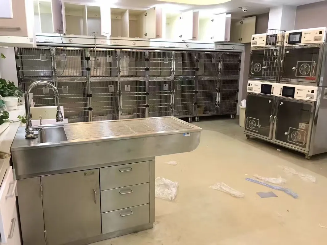 Animal Anatomy Table Flat-Top Stainless Steel Vet Operating Table/Animal Surgical Table