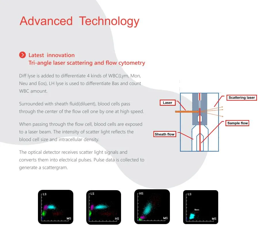 Biobase Veterinary Instruments Veterinary Hematology Analyzer for Animal Clinic with Printer