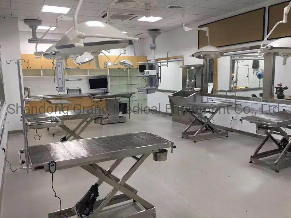 Buy 304 Stainless Steel Anatomy Animal Electric Veterinary Operating Table for Pet Operation Pet Medical Veterinary Surgery Equipment Electric Operation Table