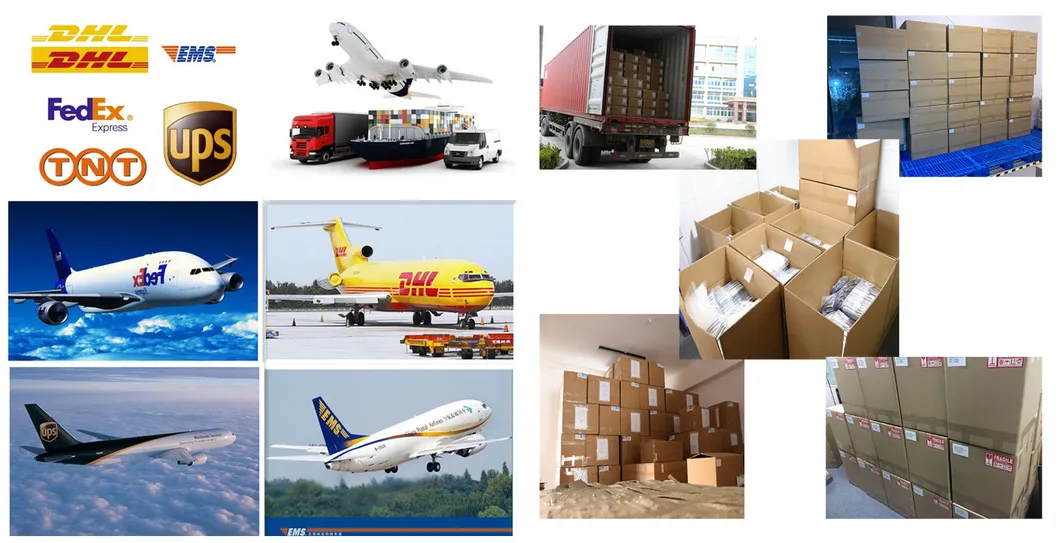 Canine Adenovirus Antigen Rapid Diagnostic Test Kit