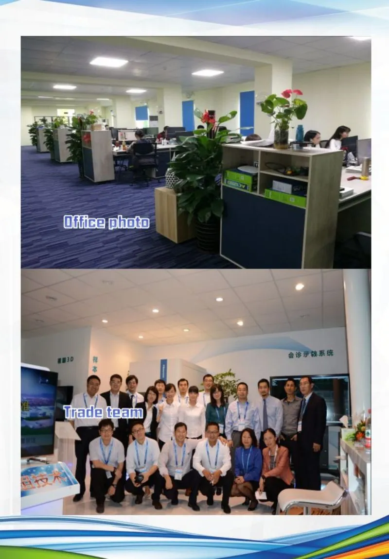 CE Approved Disposable Hypodermic Hypodermic Medical Injection Syringe Needles