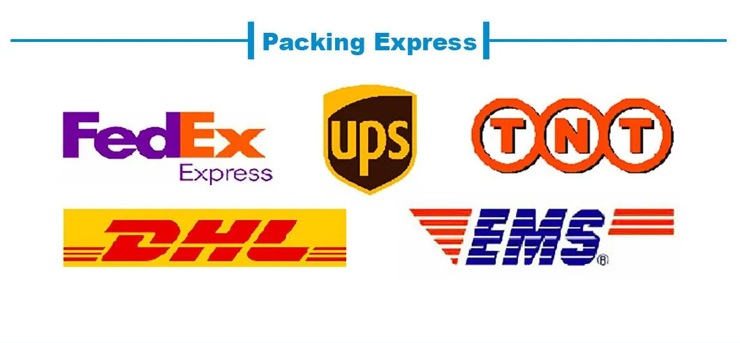 CE Marked ICU Ventilation Mode Anesthesia Machine