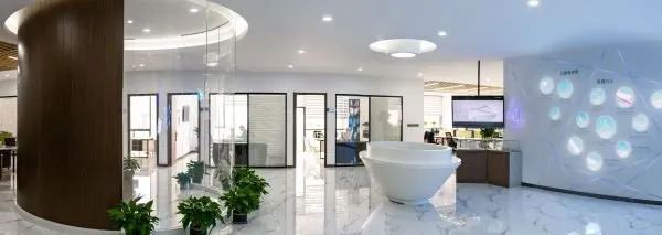 CE Stainless Steel Drug-Eluting Intracoronary Stent System 316L