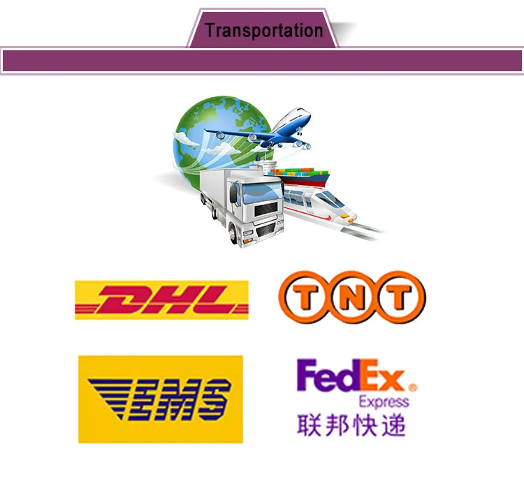 China Cheap LED Electric Imported Ceramic Bearing Standard Needle Head Surgical Dental High Speed Handpiece