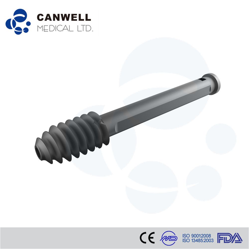 Chinese Supplier Compression Screw for Dynamic Hip and Condylar System Dhs/Dcs Titanium Surgical Screws Price