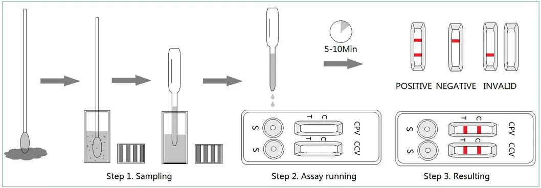 Cpv Ccv Gia Antigen Combo Rapid Test