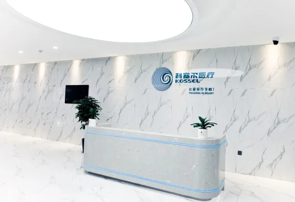 Des Drug-Eluting Heart Stent System