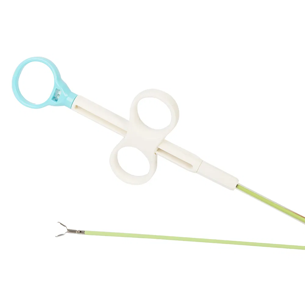 Disposable Flexible Endoscopic Rotatable Hemoclip with Large Opening Span