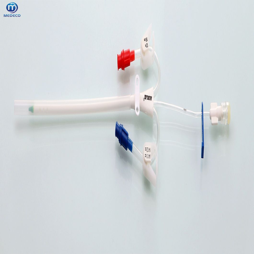 Disposable Medical Puhemodialysis Dialysis IV Cannula Urethral Catheter with CE
