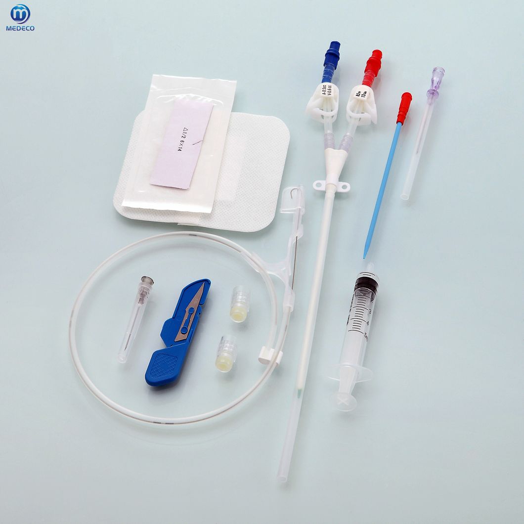 Disposable Medical Puhemodialysis Dialysis IV Cannula Urethral Catheter with CE