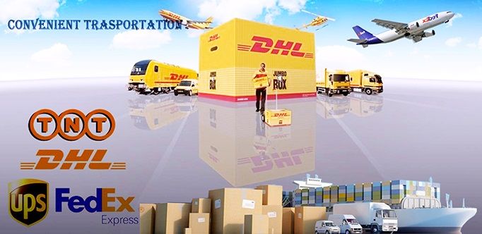 Distal Clavicle Plate (Left and Ring Type)