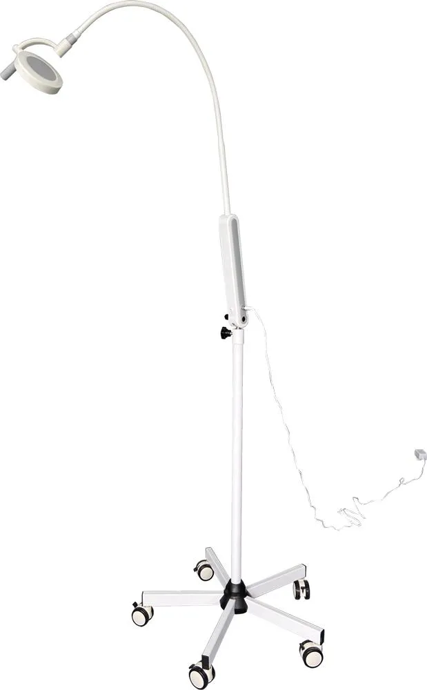 Easywell 6W LED Ks-La-6D Light Touch Examination Light for Minor Surgery with Ce, ISO