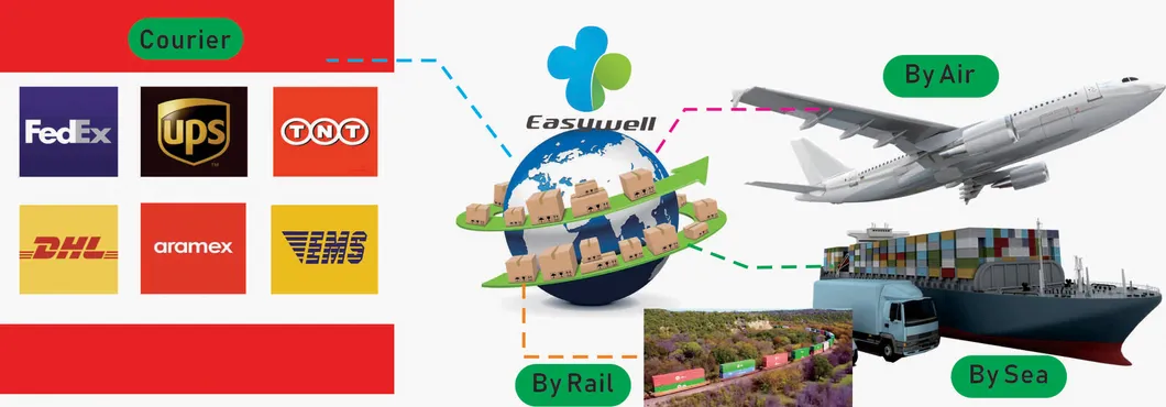 Easywell Directly Manufacture Ks-Q6s Touchless LED Examination Light