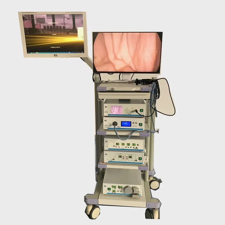 Electronic Endoscopy Tower Machine for Gynecology