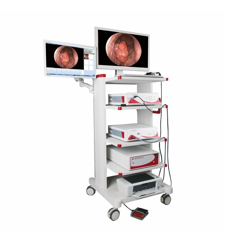 Endoscopie Medical Equipment HD Camera Endoscopy Tower Portable Light Source Sigmoidoscope Endoscope for Surgery