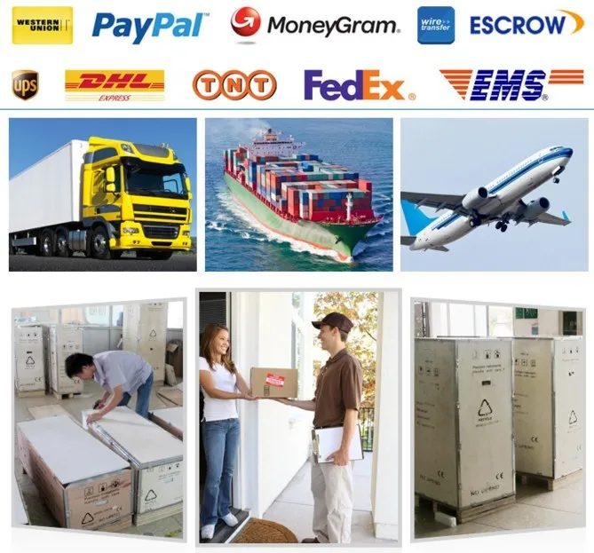 Equine Laser Surgery Ablation of Penile and Cervical Lesions