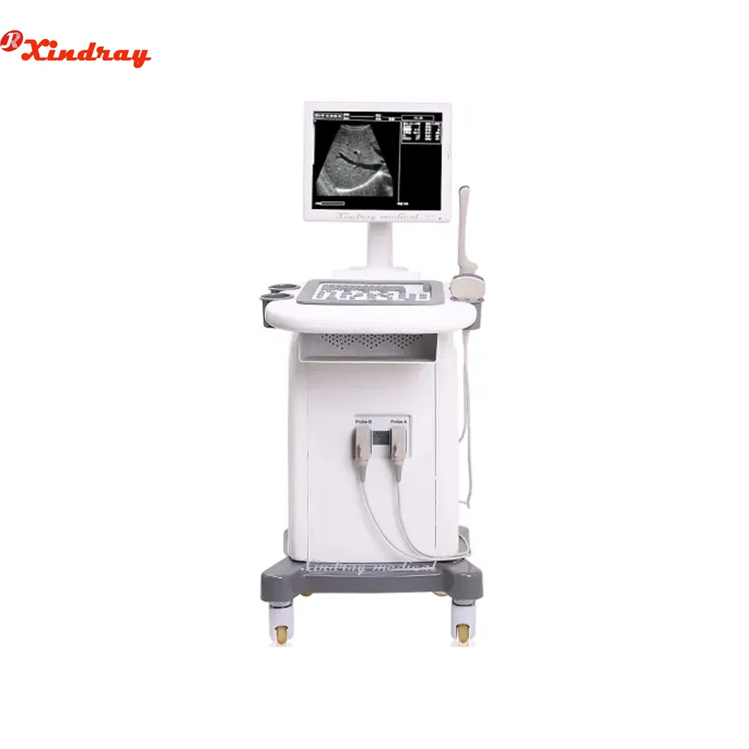 Factory Price Hospital Medical Equipment Animal Handheld Vet Color Doppler Portable Veterinary Ultrasound Scanner