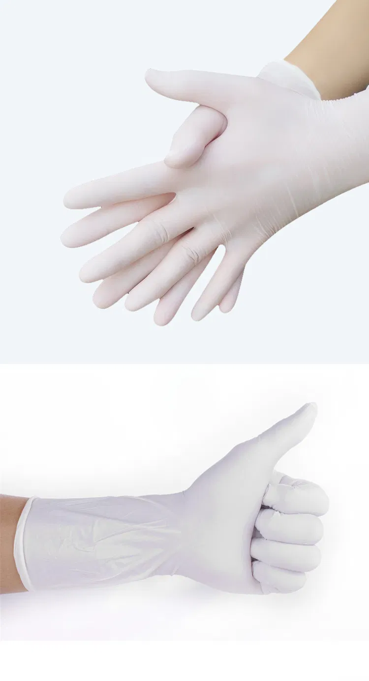 Good Quality and Cheap Price Disposable Latex Glove