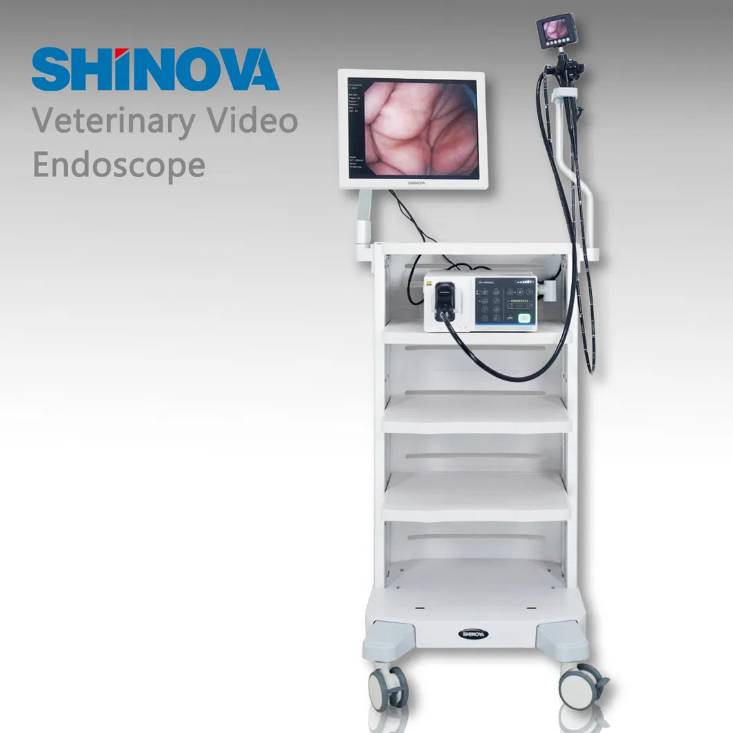 High-Definition Veterinary Video Endoscope (Gastrix 85V)