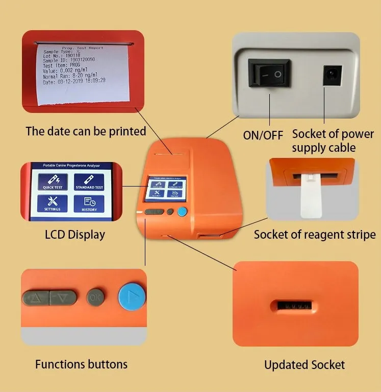 High Quality Compact Canine Progesterone Test Analyzer for Veterinary