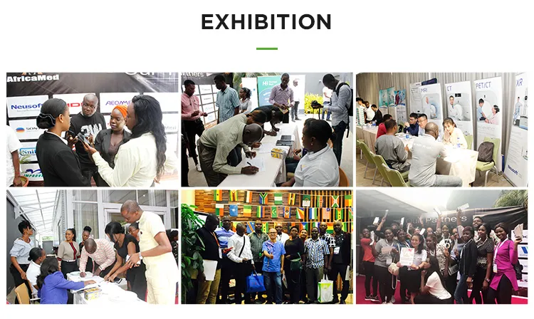 High Quality Dog Poct Progestrone Test Machine Animal Use Portable Canine Progesterone Analyzer