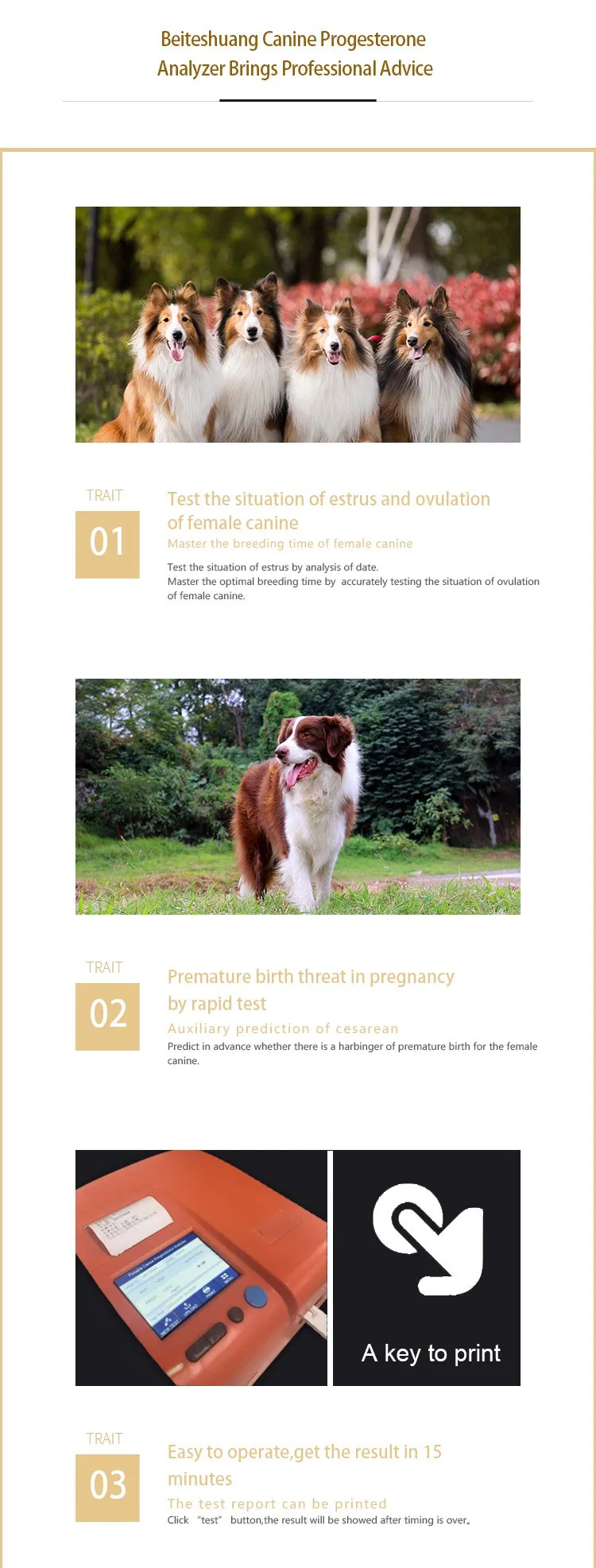 High Quality Dog Poct Progestrone Test Machine Animal Use Portable Canine Progesterone Analyzer