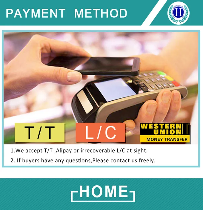 High Quality Hospital Equipment H003-a Medical Electric Pump Suction Apparatus