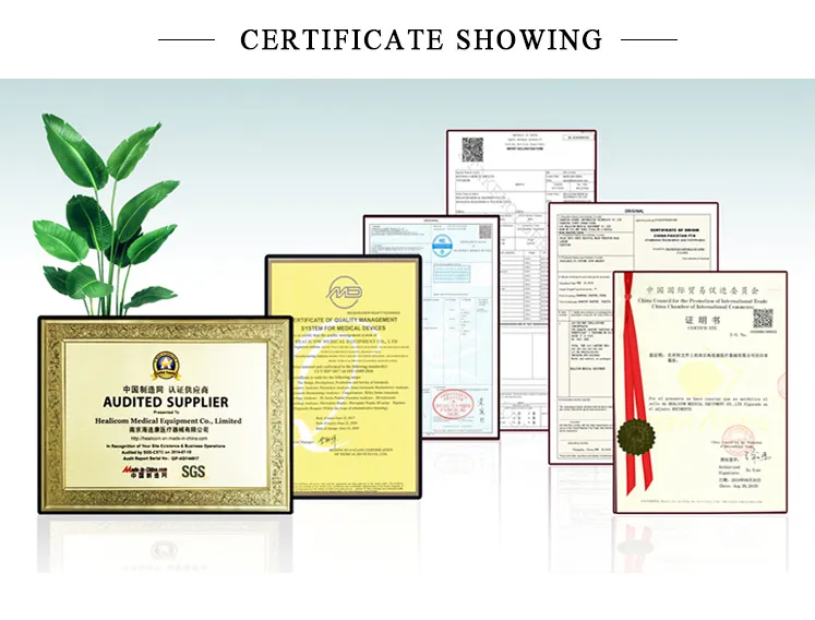 High Quality Hospital Equipment H003-a Medical Electric Pump Suction Apparatus