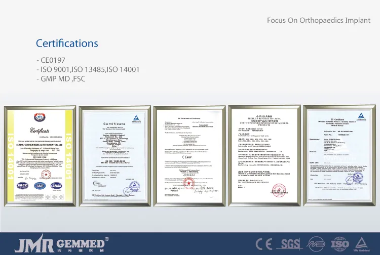 Medical Implant Femoral Intramedullary Interlocking Nail