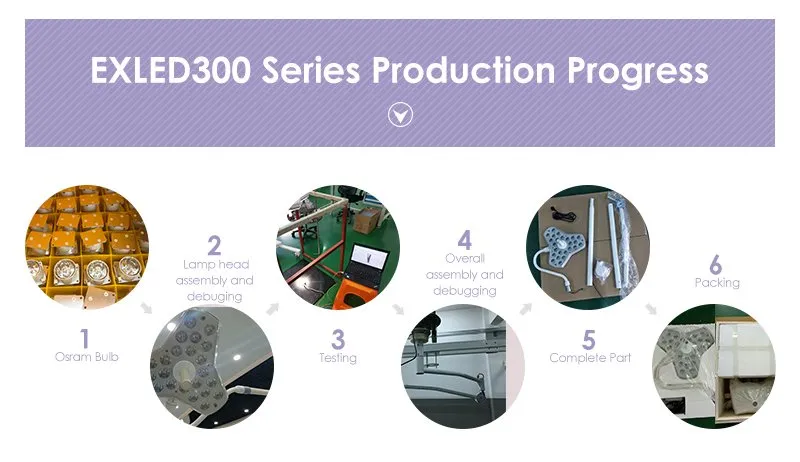 Mobile Dental Clinic Medical Examination Lamp with Battery