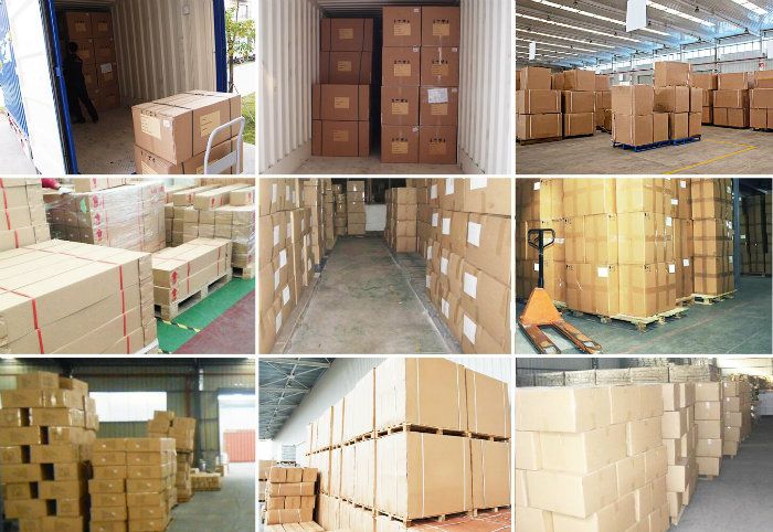 Mobile LED Dental Shadowless Lamp