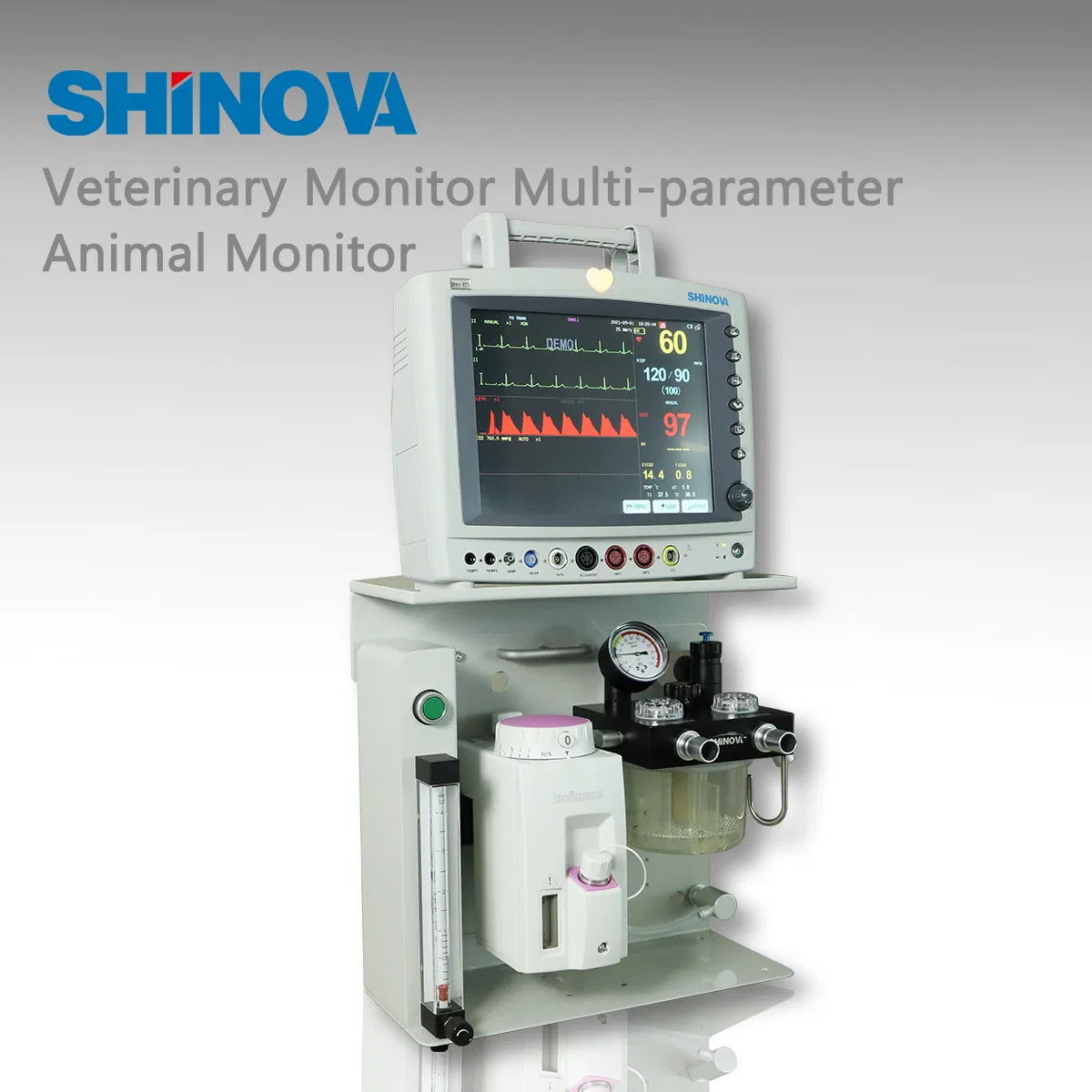 Multi-Parameter Veterinary Monitor (Moni 8DV)