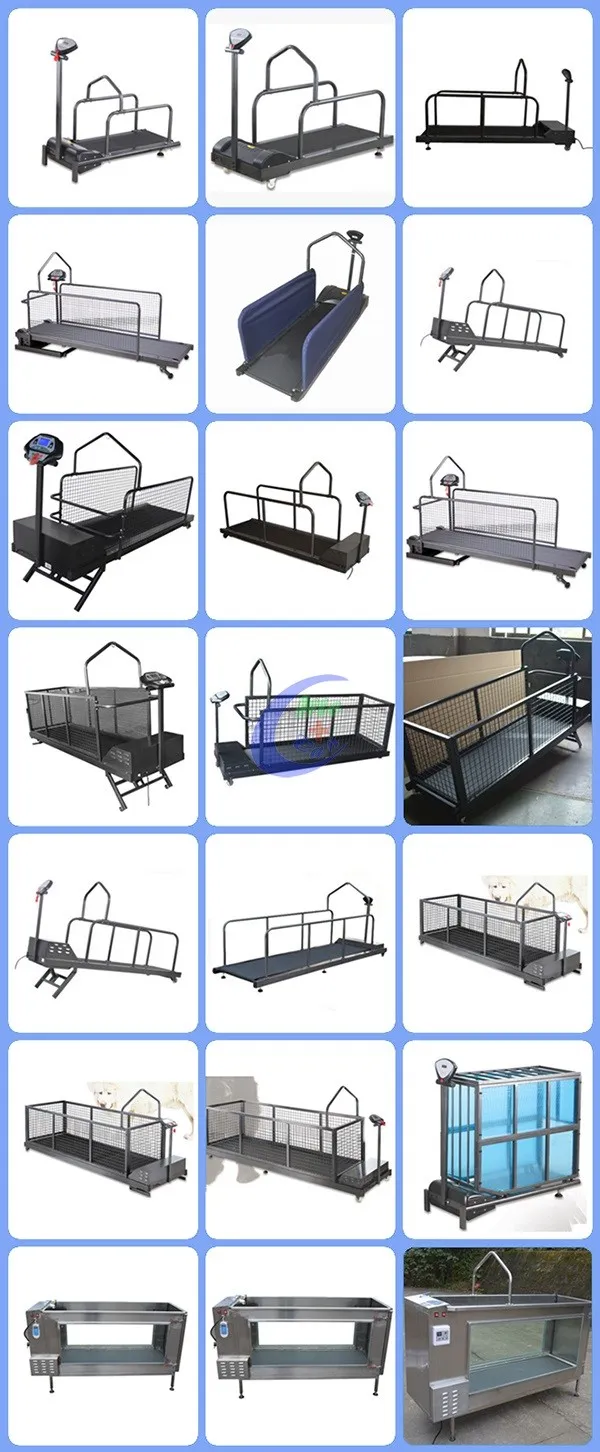 Pet Water Treadmill Dog Hydrotherapy Treadmill Electric Dog Underwater Treadmill