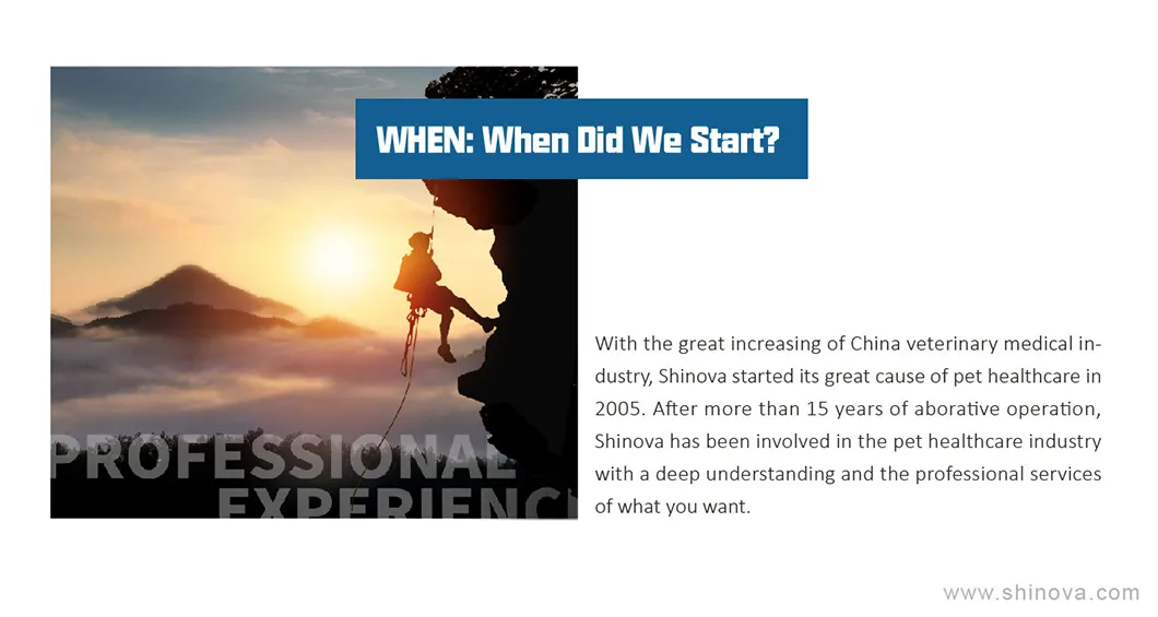 Portable Veterinary Anesthetic Machine Under Magnetic Resonance Environment/ MRI Compatible Animal Gas Anesthesia Equipment CE Certification Medical Grade