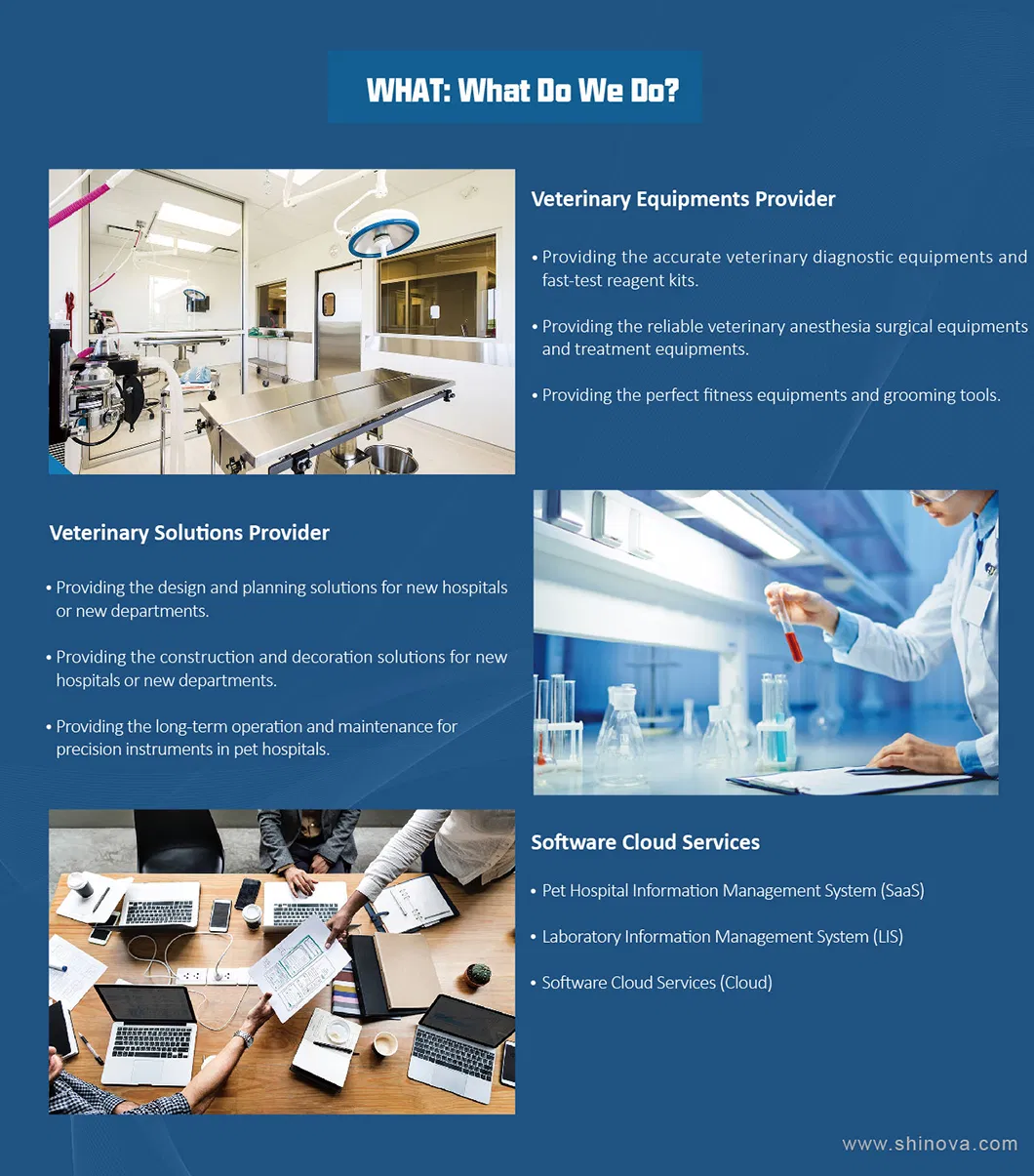 Portable Veterinary Anesthetic Machine Under Magnetic Resonance Environment/ MRI Compatible Animal Gas Anesthesia Equipment CE Certification Medical Grade