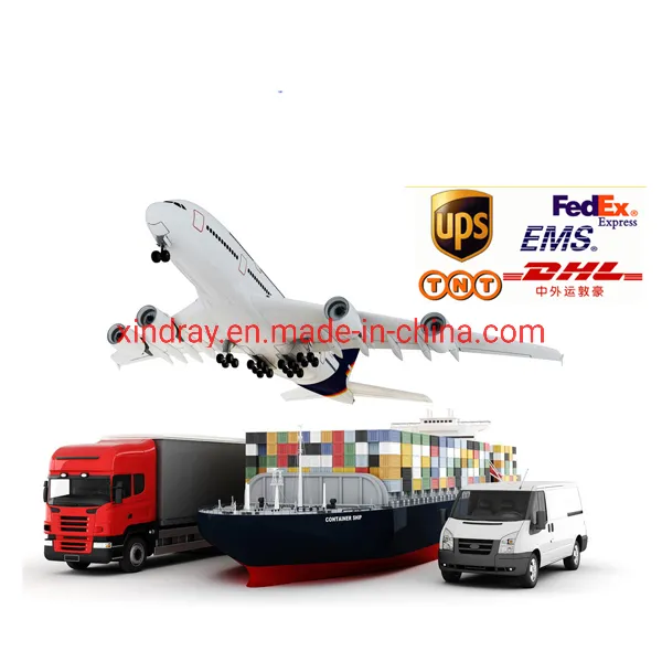 Professional Diagnosis Factory Medical Equipment Veterinary X-ray Machine