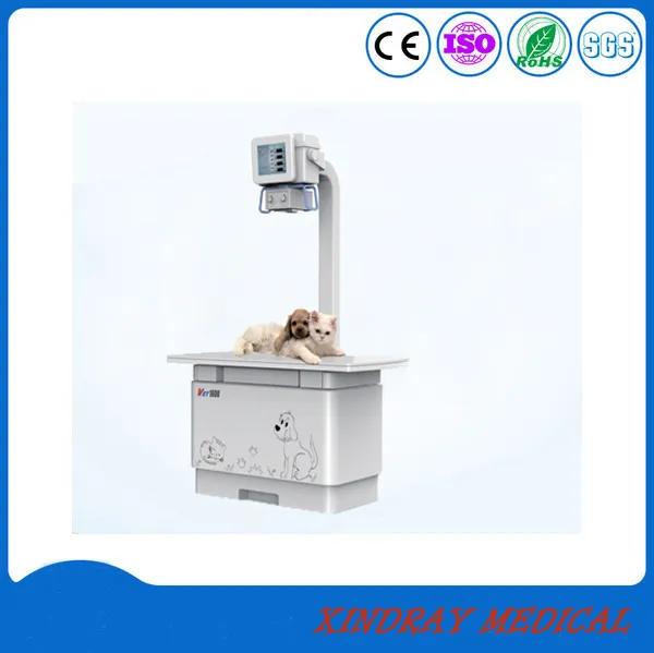 Professional Diagnosis Factory Medical Equipment Veterinary X-ray Machine