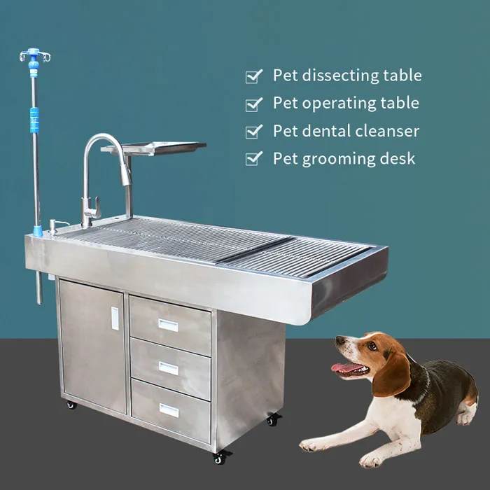 Single Sink Animal Anatomy/Dental Cleaning Platform/Disposal Platform