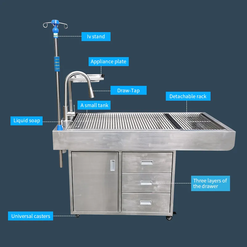 Single Sink Animal Anatomy/Dental Cleaning Platform/Disposal Platform