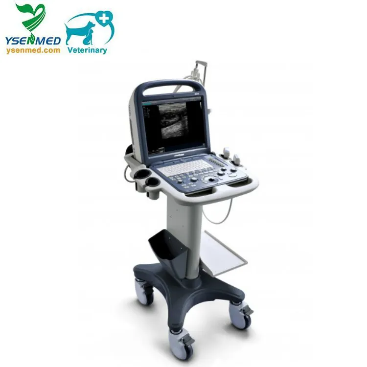 Sonoscape S2V Ultrasound Portable Vet Ultrasound