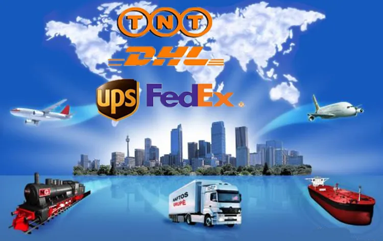 Spine Polyaxial Screw Used for Spinal Internal Fixation