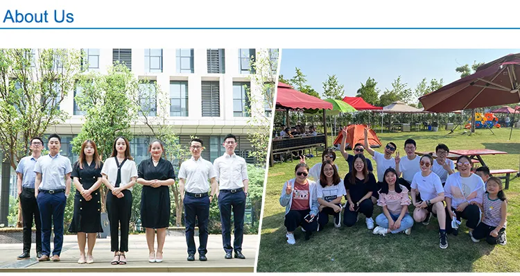 Sterilization Container Medical Sterilization Box Orthopedic Surgery 4.5/6.5mm Large Fragment Screw Box