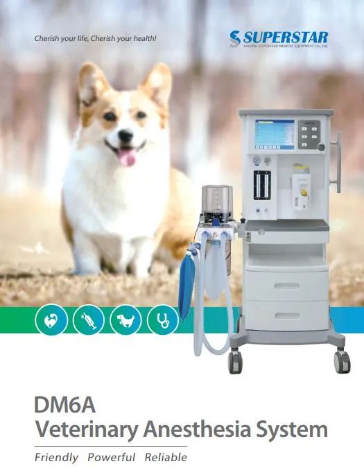 Superstar Medical 10.4" Touch Screen Veterinary Anesthesia Machine Dm6a