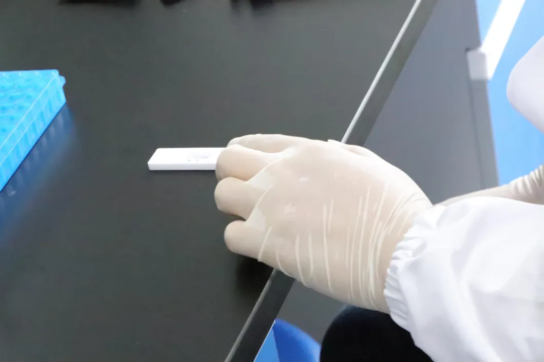 The Cpv Ccv Gia Antigen Combo Rapid Diagnostic Test Kit