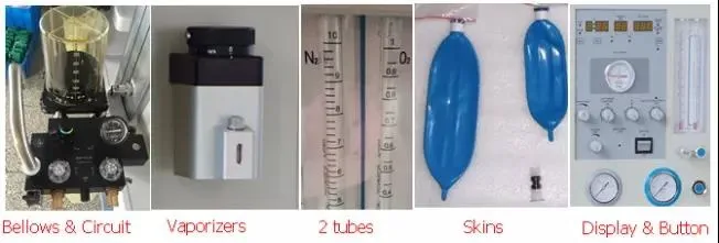 Top Quality Medical Equipment Anesthesia Machine Used in Hospital (JINLING 01Standard)